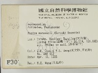 登錄號:F0003072藏品圖，第2張