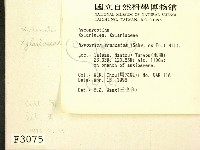 登錄號:F0003075藏品圖，第2張