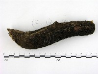 登錄號:F0003075藏品圖，第1張