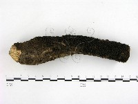 登錄號:F0003075藏品圖，第3張