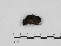 登錄號:F0003076藏品圖，第1張