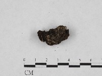 登錄號:F0003076藏品圖，第3張