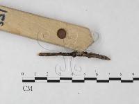 登錄號:F0003077藏品圖，第1張