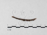 登錄號:F0003077藏品圖，第3張