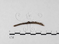 登錄號:F0003077藏品圖，第4張