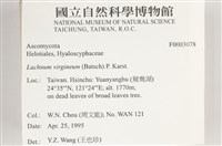 登錄號:F0003078藏品圖，第4張