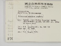 登錄號:F0003080藏品圖，第2張