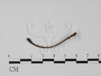 登錄號:F0003081藏品圖，第3張