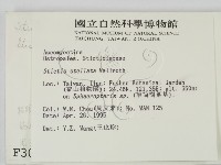 登錄號:F0003082藏品圖，第2張