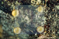 登錄號:F0003083藏品圖，第3張