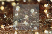 登錄號:F0003083藏品圖，第4張