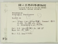 登錄號:F0003084藏品圖，第2張