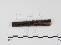 登錄號:F0003084藏品圖，第1張