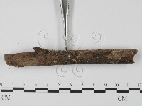 登錄號:F0003085藏品圖，第3張
