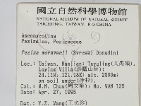 登錄號:F0003086藏品圖，第2張