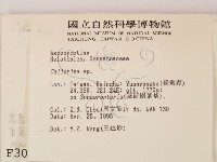 登錄號:F0003087藏品圖，第2張