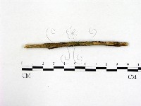 登錄號:F0003088藏品圖，第1張