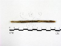 登錄號:F0003088藏品圖，第3張