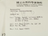 登錄號:F0003091藏品圖，第2張