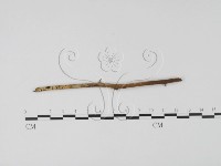 登錄號:F0003091藏品圖，第3張
