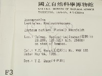 登錄號:F0003092藏品圖，第2張