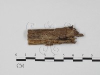 登錄號:F0003092藏品圖，第3張