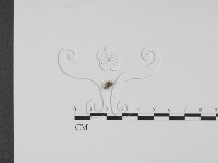 登錄號:F0003093藏品圖，第1張