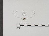 登錄號:F0003093藏品圖，第3張