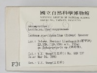 登錄號:F0003094藏品圖，第2張