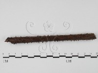 登錄號:F0003094藏品圖，第1張