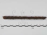 登錄號:F0003094藏品圖，第3張
