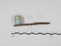 登錄號:F0003095藏品圖，第3張