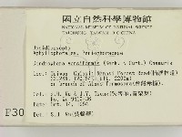 登錄號:F0003096藏品圖，第2張
