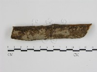 登錄號:F0003096藏品圖，第1張