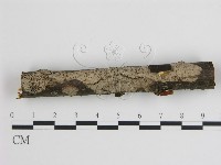 登錄號:F0003097藏品圖，第1張