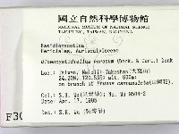 登錄號:F0003098藏品圖，第2張