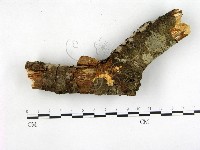 登錄號:F0003098藏品圖，第1張