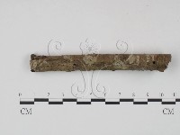 登錄號:F0003099藏品圖，第4張