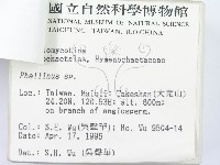 登錄號:F0003104藏品圖，第3張