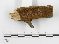 登錄號:F0003104藏品圖，第4張