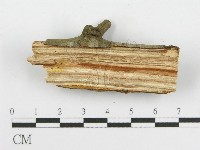 登錄號:F0003104藏品圖，第5張