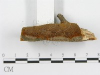 登錄號:F0003104藏品圖，第7張