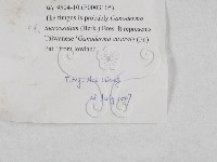 登錄號:F0003105藏品圖，第3張