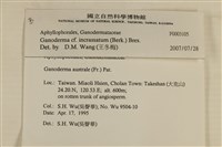 登錄號:F0003105藏品圖，第6張