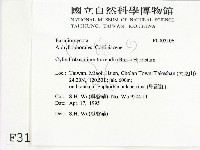 登錄號:F0003106藏品圖，第2張