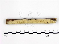 登錄號:F0003106藏品圖，第1張