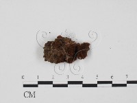 登錄號:F0003108藏品圖，第1張