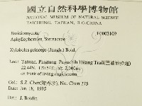 登錄號:F0003109藏品圖，第2張