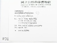 登錄號:F0003111藏品圖，第2張