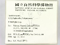 登錄號:F0003112藏品圖，第2張